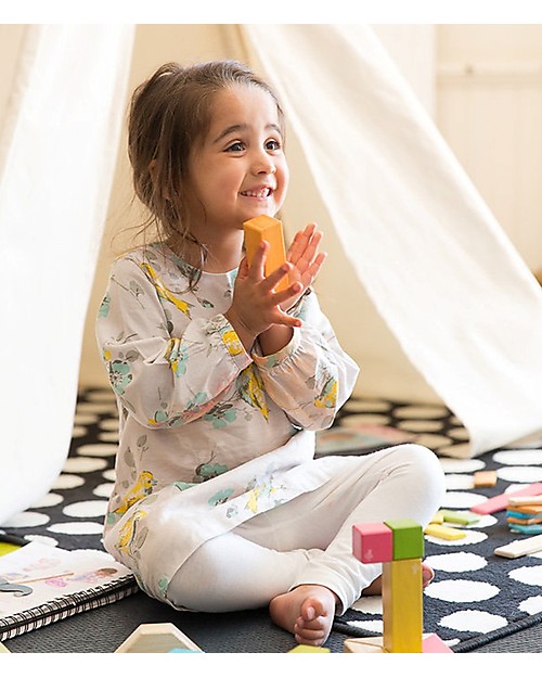 tegu magnetic blocks 14 piece